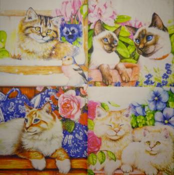 299 Katzen - 3-lagig